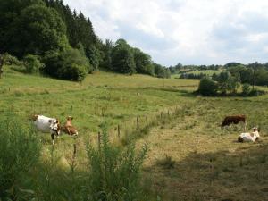 Maisons de vacances Spacious holiday home near the forest : photos des chambres