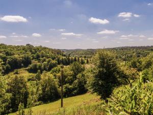 Maisons de vacances Cosy Holiday Home in Bourgnac with Private Pool : photos des chambres