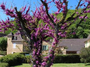 Maisons de vacances Modern Holiday Home with Swimming Pool nearby Sarlat : photos des chambres