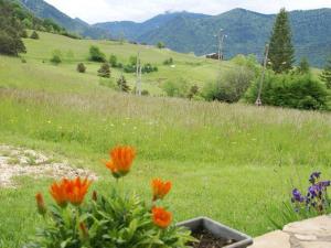 Appartements Lavish Apartment in Lus la Croix Haute with Mountain View : photos des chambres