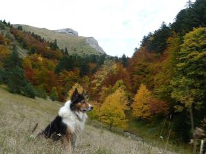 Appartements Lavish Apartment in Lus la Croix Haute with Mountain View : photos des chambres