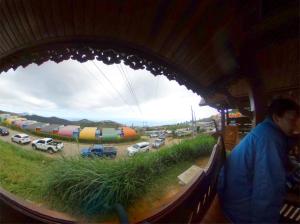 ไร่กะหล่ำหวาน ภูทับเบิก