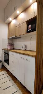 The Best 2-Bedroom Central Belgrade Apt - FREE private Parking