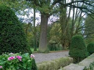 Maisons d'hotes Le Chateau D'Osthoffen : photos des chambres