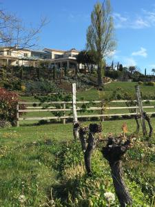 Maisons d'hotes Chateau La Rose Perriere : photos des chambres