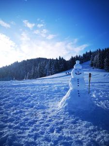 Apartmajsko naselje Ribniško Pohorje
