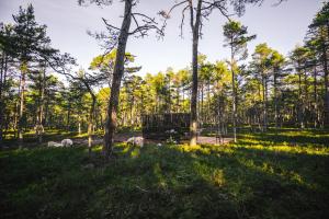 ÖÖD Hötels Rooslepa - Room#1-ÄLSKAR -with sauna