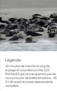 Sejours chez l'habitant MINI TARIF pour un MAXI CONFORT : photos des chambres