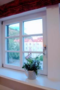 Boutique Room room in Schloss Neuweier