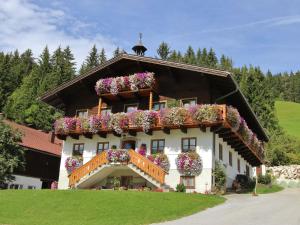  Apartment Tanja 1, Unterkunft in Wagrain
