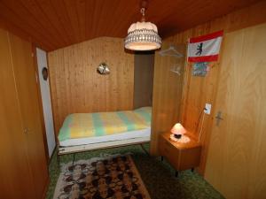 Chalet in Wilderswil with Jungfrau Views