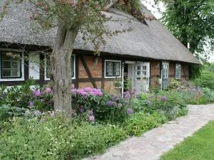 Apartmen in Reddelich for 4 Person - Glashagen