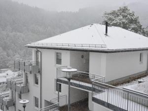 Geräumiges Apartment mit Balkon in Willingen