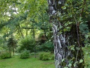 Chalets Cozy Chalet in Bousseviller Lotharingen with Private Sauna : photos des chambres