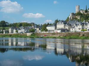 Maisons de vacances Luxury holiday home with lawn in Beaumont en V ron near Chinon : Maison de Vacances 2 Chambres