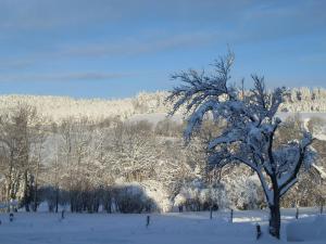 Maisons de vacances Quaint Holiday Home In Girmont Val d Ajol with Terrace : photos des chambres