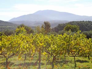 Maisons de vacances Superb mansion with private pool in Vaison la Romaine : photos des chambres