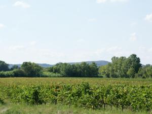 Villas Welcoming Villa with Private Swimming Pool in Montfrin : photos des chambres