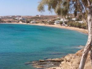 Pleasant Apartment in Piso Levadi near Kalogeros Beach Paros Greece