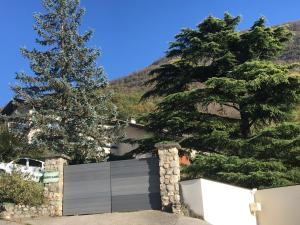 Buxus Land photo 9