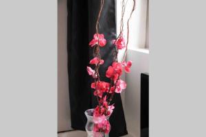 Appartements Charme & Cocooning : Belle Vue sur la Loire : photos des chambres