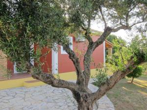 Lithies Farm Houses Zakynthos Greece