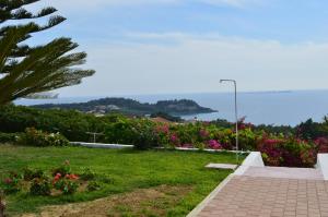 Mediterranean Studios