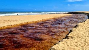 Apartamento dos Sonhos Imbassaí