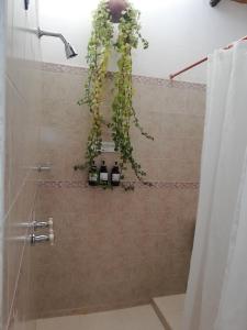 Hotel Casa Claustro De Zapatoca