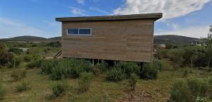 Charrua de Punta colorada