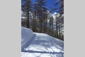 Appartements Le Grand PIerron Claree Valley cosy apartment in mountain, 6p : photos des chambres