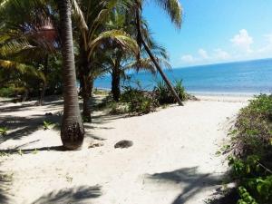 Embedodo Beach House, Ushongo beach, Pangani