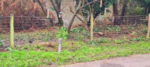 Astbury Falls Luxury Retreats