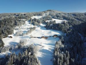 Pension Bergbauernhof Irxner
