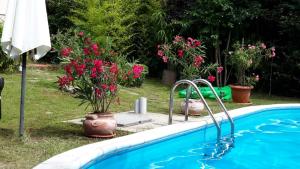 Sunny villa Boutique Varna