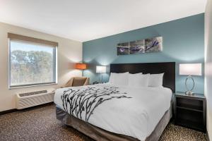 King Room - Non-Smoking room in Sleep Inn Newberry - Crane