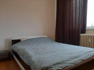 Ultracentral apartment bulevard regele mihai nr 10, sc a ap 16