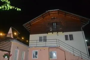 维拉皮蒂酒店 - 皮特什蒂