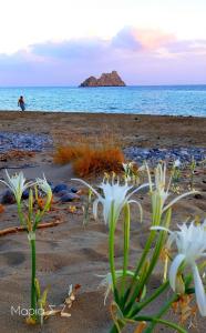 Liviko View Lasithi Greece