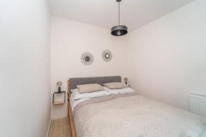Apartament B6