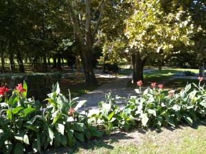 Apartments in Zalakaros - Thermalbad 20667