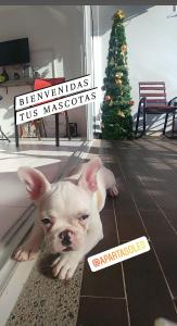 Ciudadela Santa fe Apartasol 4 A 2