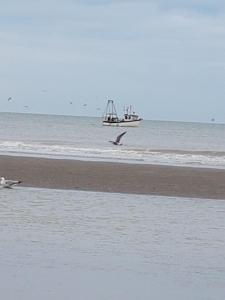 Hotel De Gouden Haan