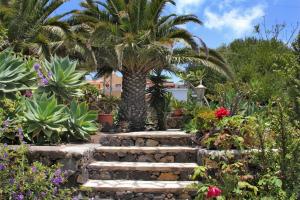 Jardin de Aridane