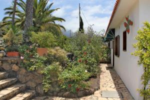 Jardin de Aridane