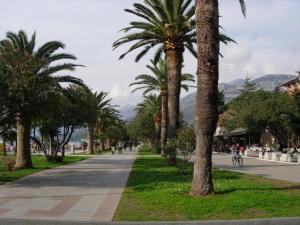 Rooms & Apartments Anka