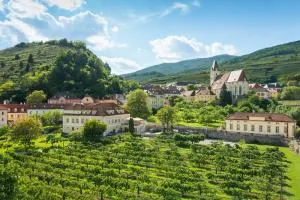 布克哈特巴洛克兰德酒店 - Mitterarnsdorf