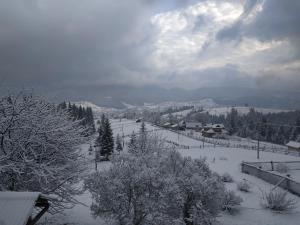 Приватна садиба "Гірський затишок"