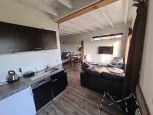 Two-Bedroom Apartment room in Bed & Breakfast Aan de Bagijnstraat.