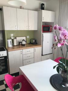 Appartements Bel Appartement near Bale Mulhouse Airport : photos des chambres